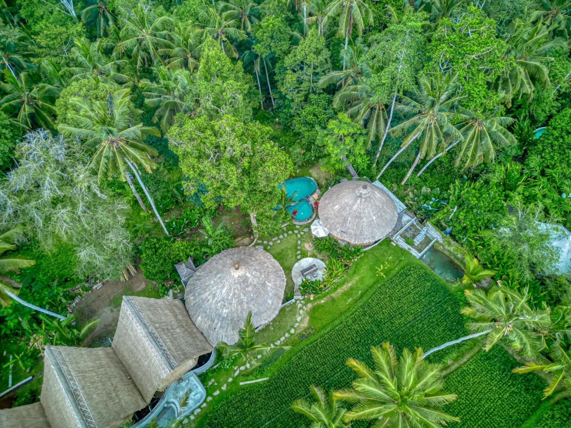 Bamboo Cabin Sanctuary By Nusantara Hospitality 우붓 외부 사진